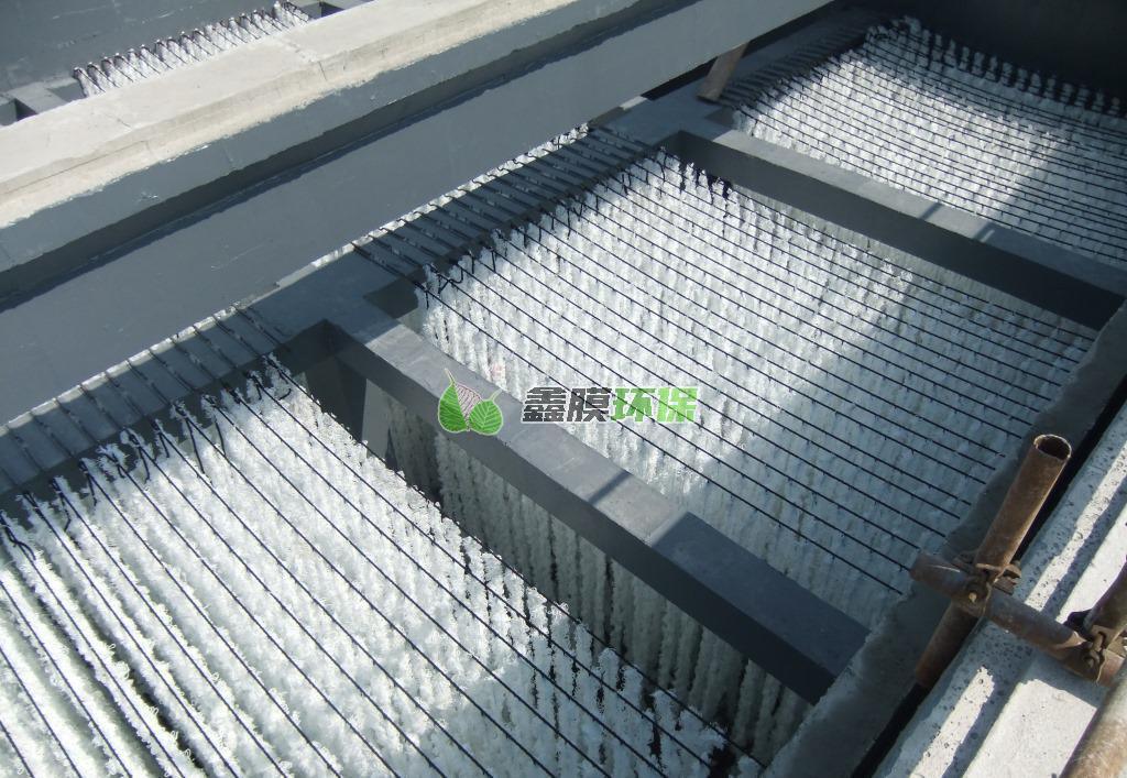 武漢鑫膜彈性填料廠家 生物彈性填料 (3) 武漢鑫膜彈性填料廠家 生物彈性填料 (3)